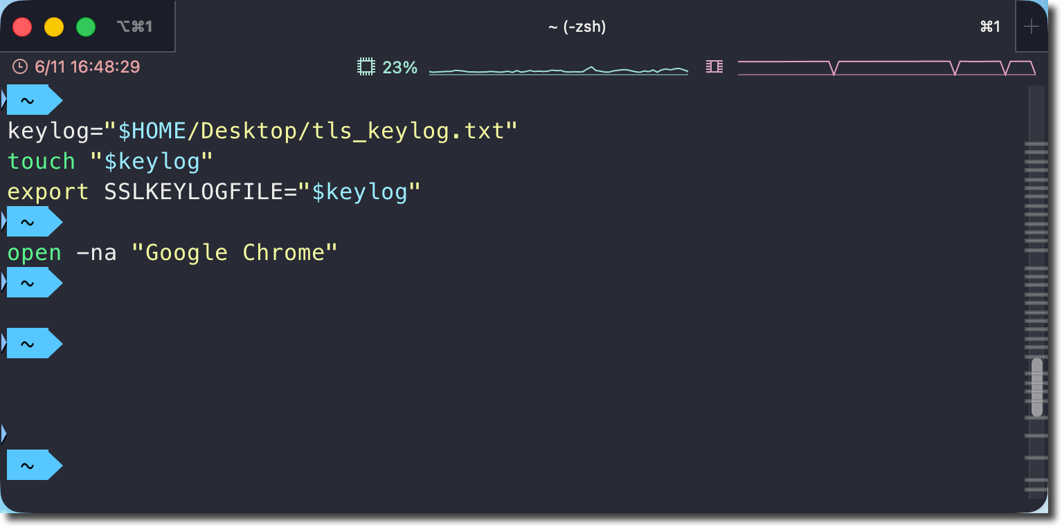 macOS iTerm2 临时设置 SSLKEYLOGFILE 的实际界面截图